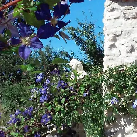 Les Bories En Champagne Holiday home